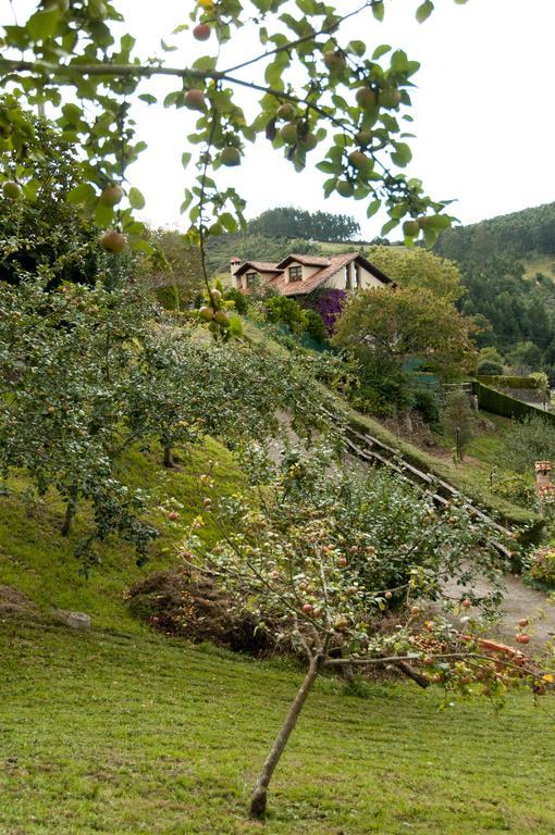 Trisqueles Y Buganvillas Villaviciosa  Luaran gambar